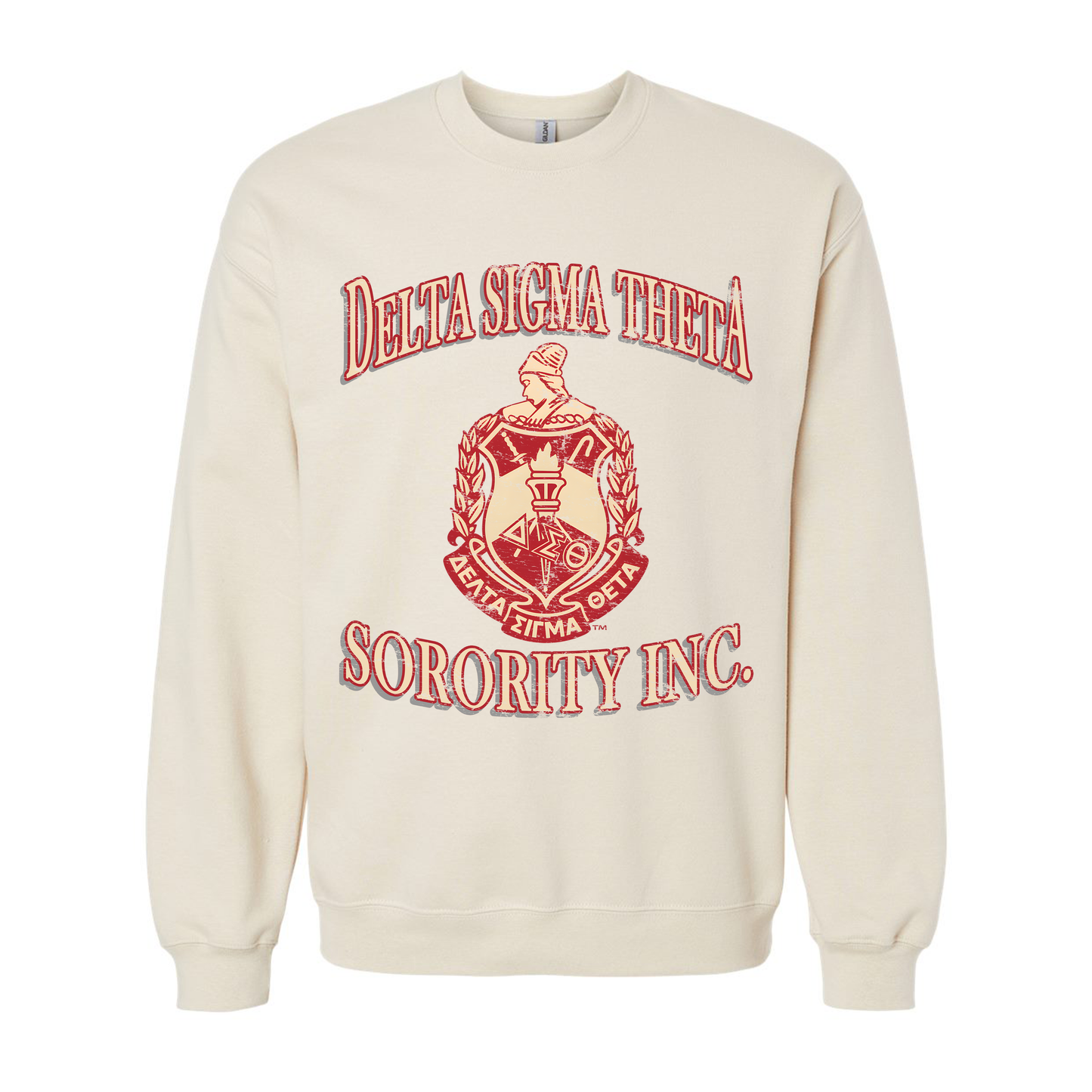 Delta Sigma Theta Vintage Sweatshirt